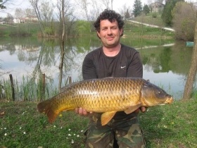 Fauna ittica - A.S.D. PERLA DEL VENETO 